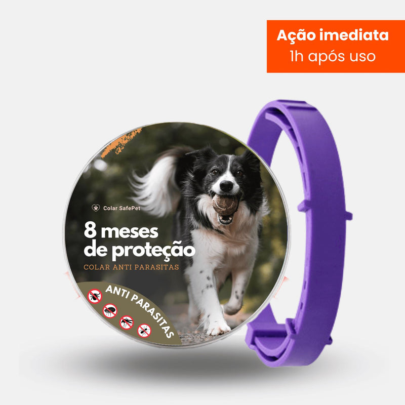 Colar Anti Pulgas e Carrapatos GR2 Aliexpress Roxo Cães 